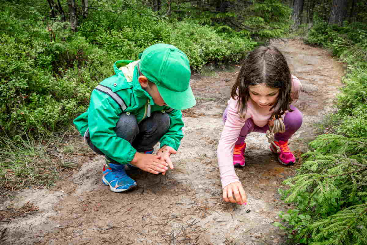 5 Fun and Educational Activities to Keep Kids Learning This Summer -  FamilyEducation