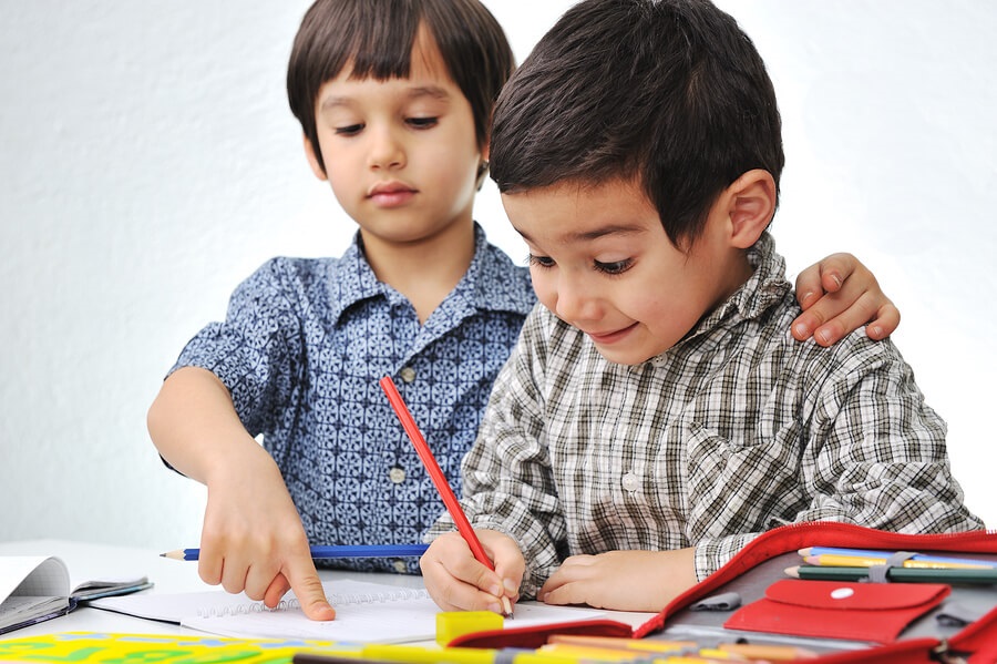 Early Gifted Education: Why Is It Needed? - 4017 Words | Essay Example