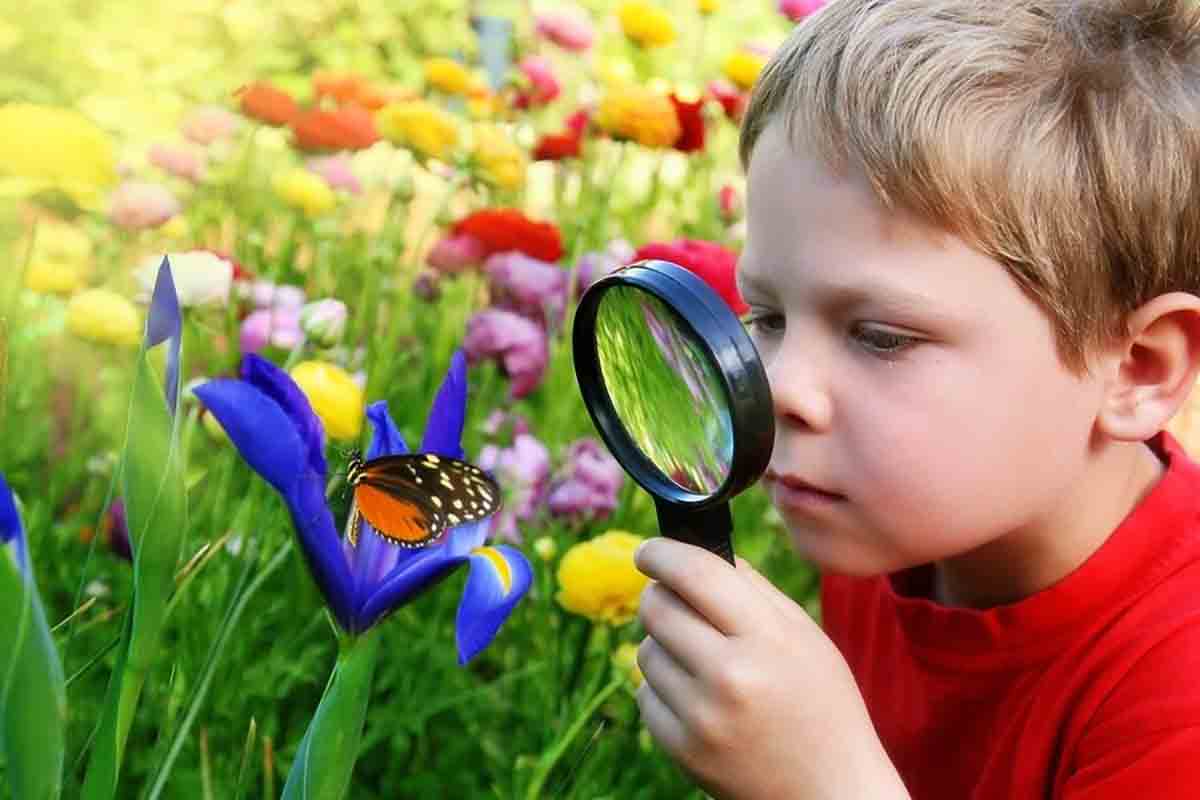 Awaken Reduktion klynke 10 of the Best Hands-on Nature Activities for Kids - FamilyEducation