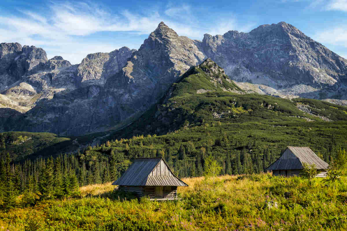 polish-first-names-and-meanings-familyeducation