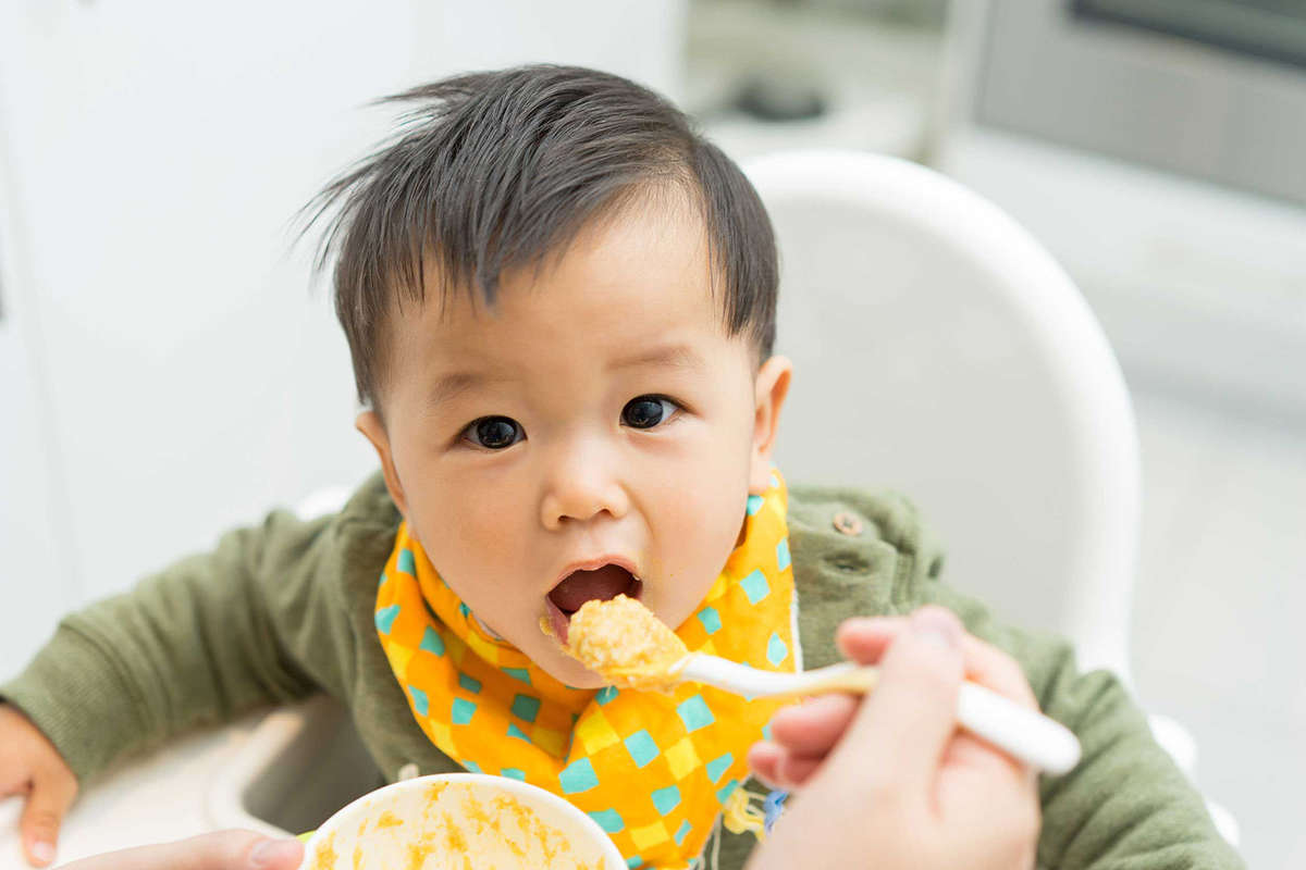 Feeding A Baby Rice Cereal At 3 Months Warren Allacurs