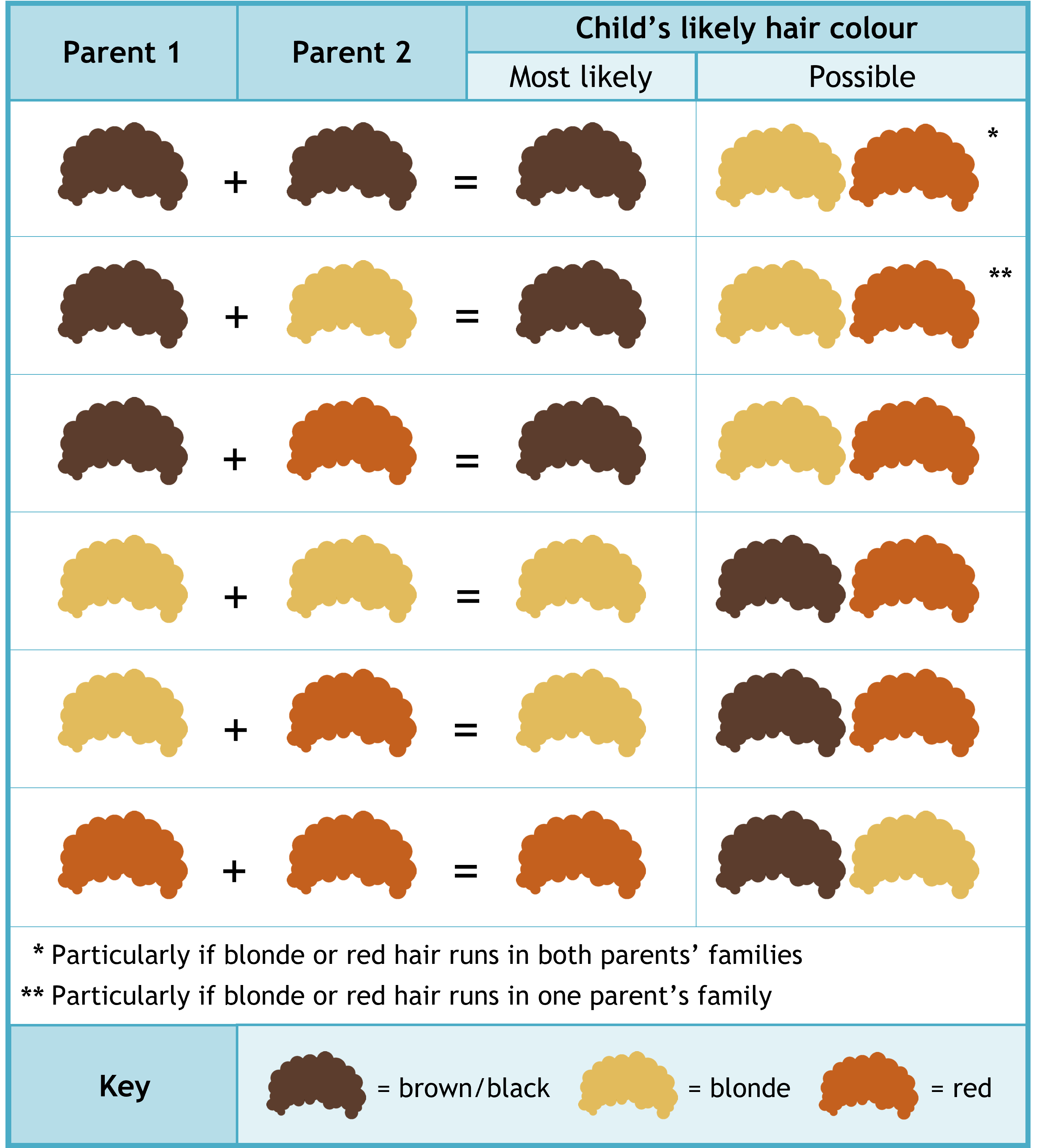 Baby Hair Color Chart