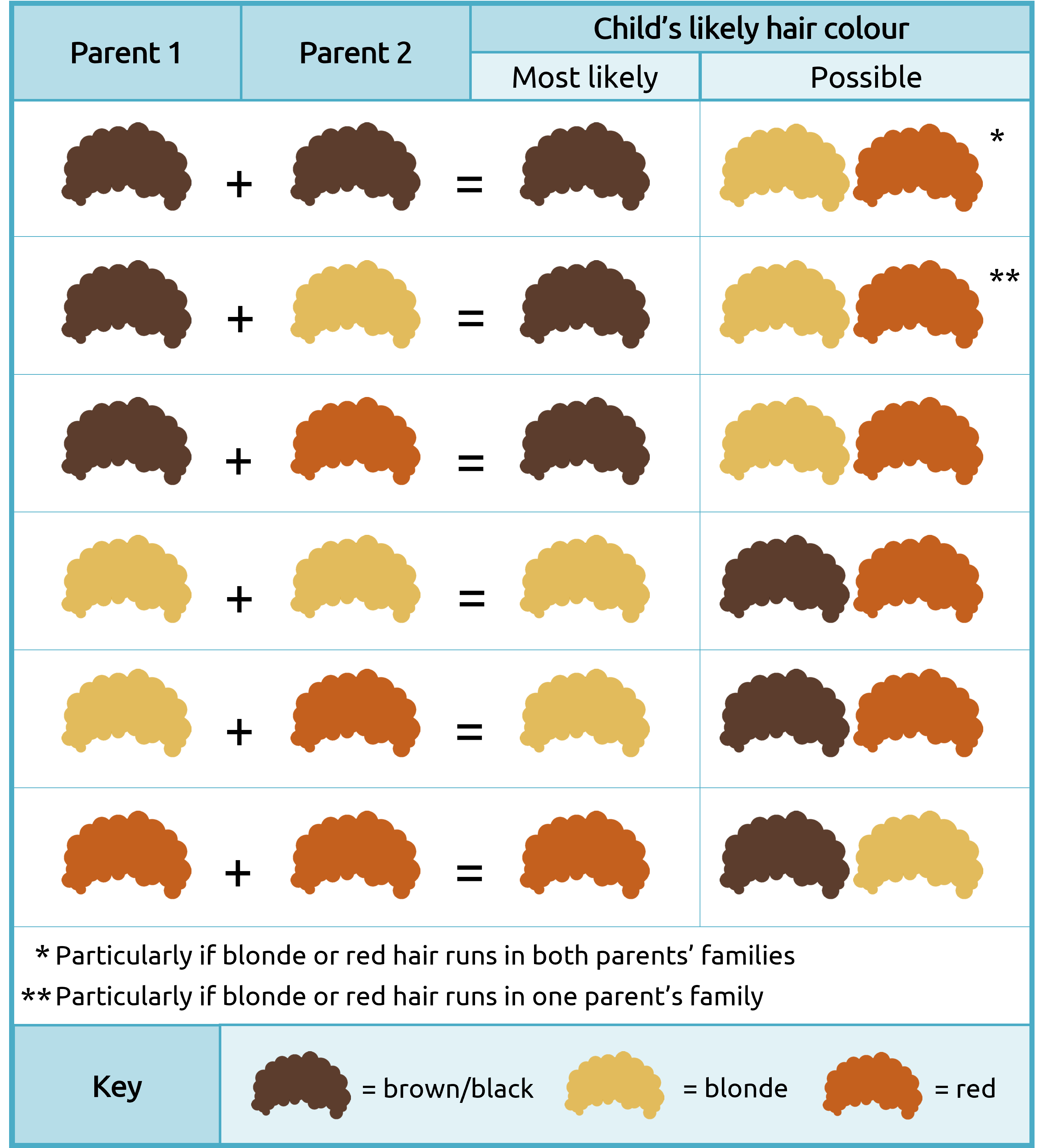 https://www.familyeducation.com/sites/default/files/inline-images/hair_chart_updated.png