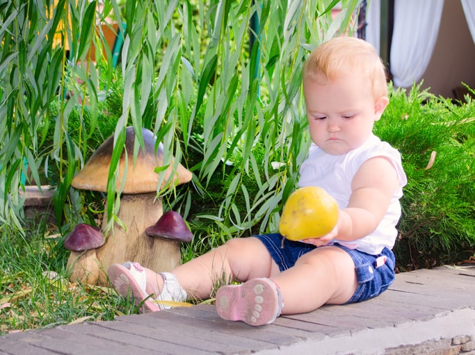 Mushroom baby