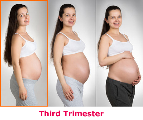 7 months pregnancy care