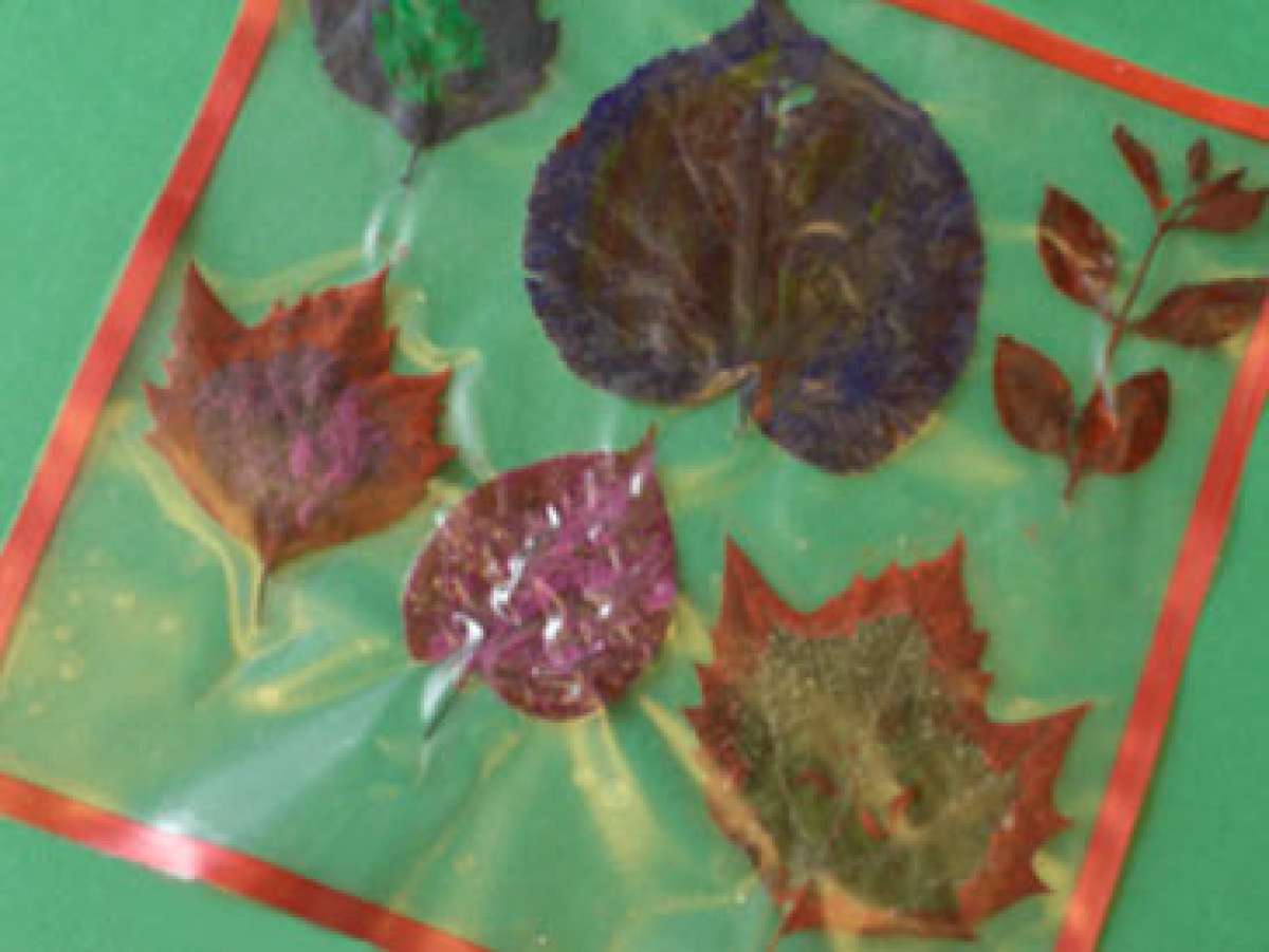 Pressed Flower Place Mats FamilyEducation   LeafPlacemat H 