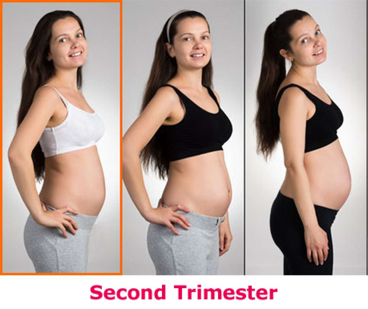 4 Months Pregnant: Symptoms, Baby (& Belly) Size and Development