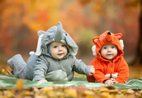 beanie babies halloween costume