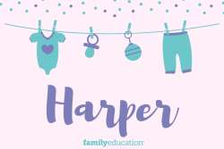 Meaning and Origin of Harper