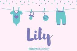 Lily meaning and origin