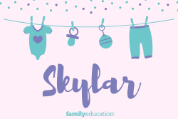 Meaning and Origin of Skylar