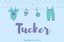 Meaning and Origin of Tucker