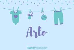 Meaning and Origin of Arlo