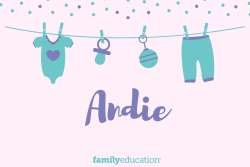 Meaning and Origin of Andie