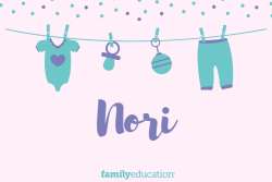 Meaning and Origin of Nori