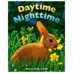 Daytime Nighttime, children's book