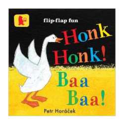 Honk Honk Baa Baa, children's book