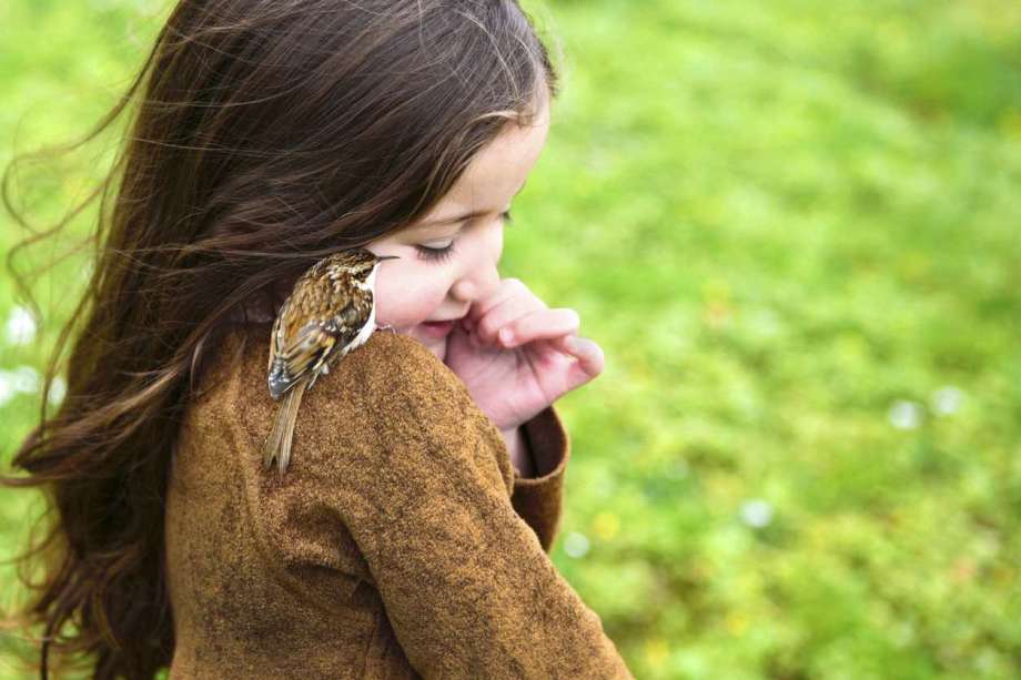 105 Bird Names for Girls and Boys that are Sweet as a Songbird 