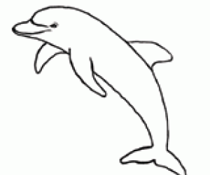 Dolphin Coloring Page Printable Familyeducation